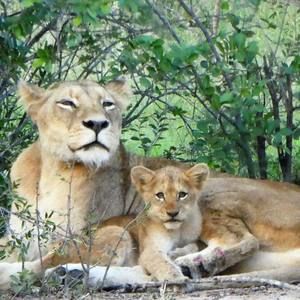 Meet your Posher, Ellen